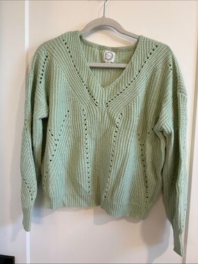 Blue Rain Light Sage Green V-Neck Pointelle Knit Sweater
